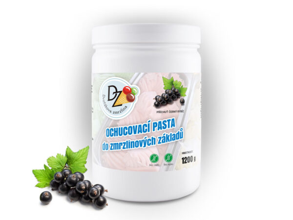 Ochucovacia zmrzlinová pasta DZ čierny ríbezle 1200 g